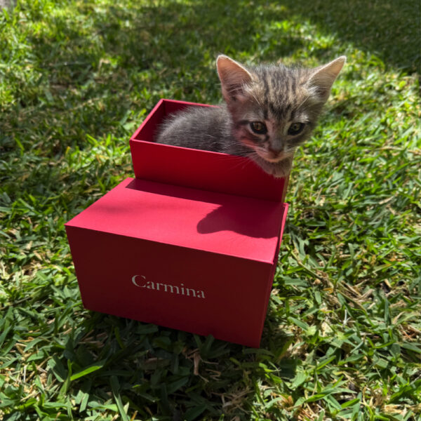 Caja Carmina
