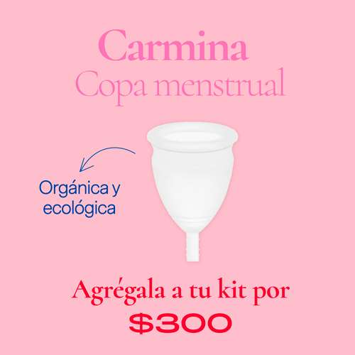 Kit Primer Menstruación - Imagen 3