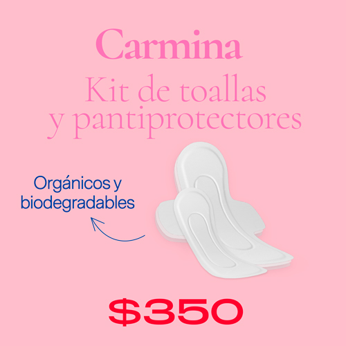 Kit Primer Menstruación - Imagen 2